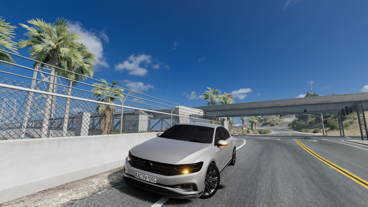 Volkswagen Passat For American Park
