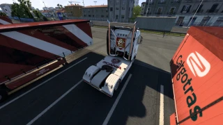 Pack's Skins STNN 1.4 thumbnail 9