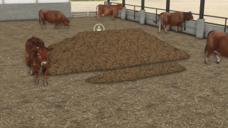 Mod Image