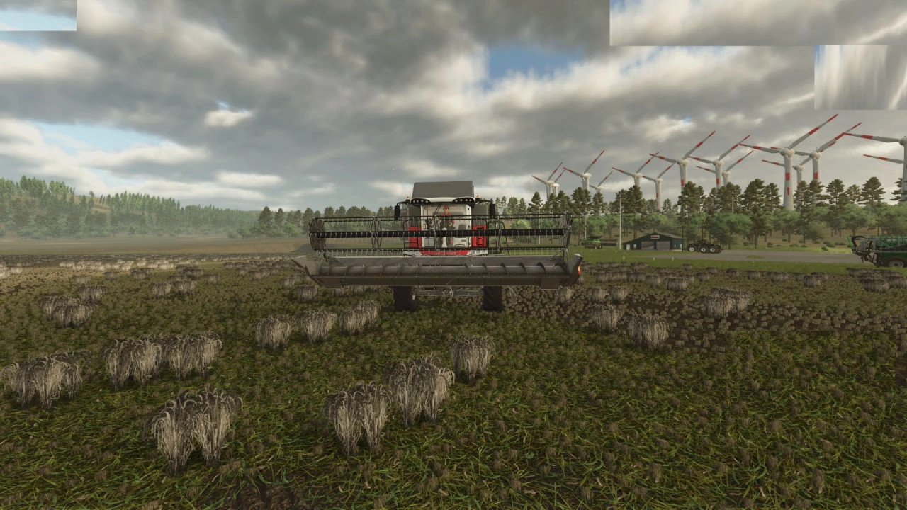 Massey Ferguson 7360 rice