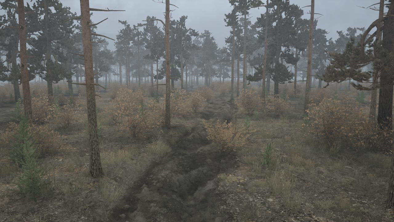 Adventures in the swamps