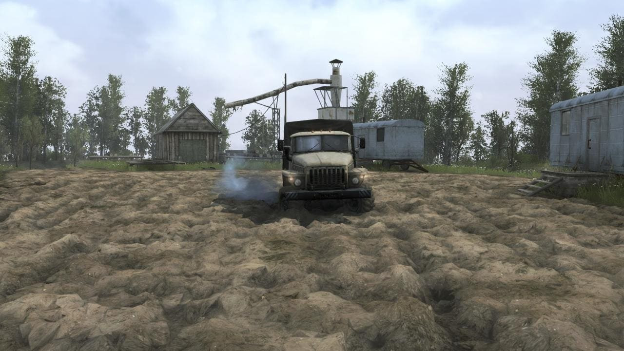 Western Bug