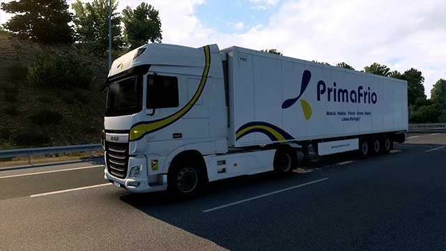 AI Traffic Portuguese Companies