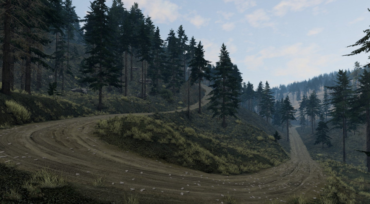 LM Rally