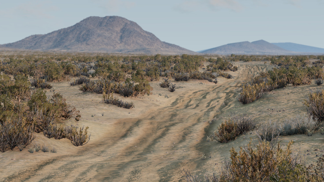 Johnson Valley