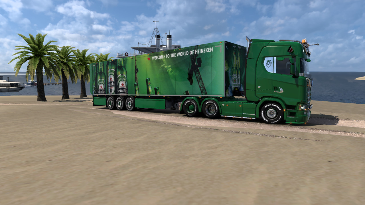 Heineken Beer Skin
