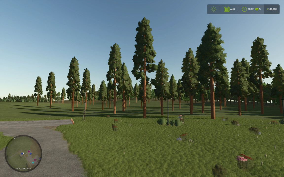 NEW LAND