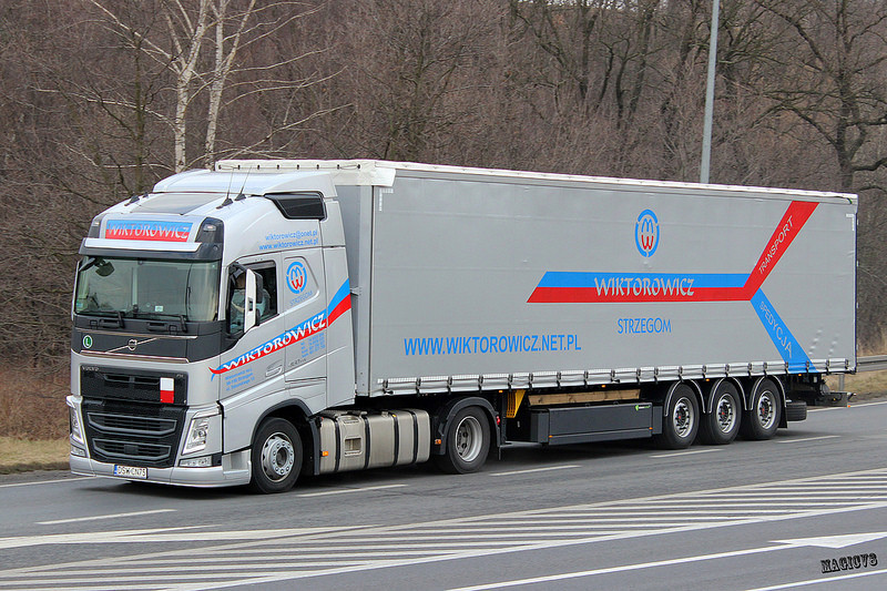 Combo Skin Wiktorowicz Transport