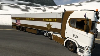 911 COUNTY SHERIFF Skin 1.0 thumbnail 12