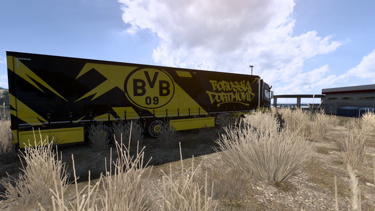 Borussia Dortmund Fan-Made Skin