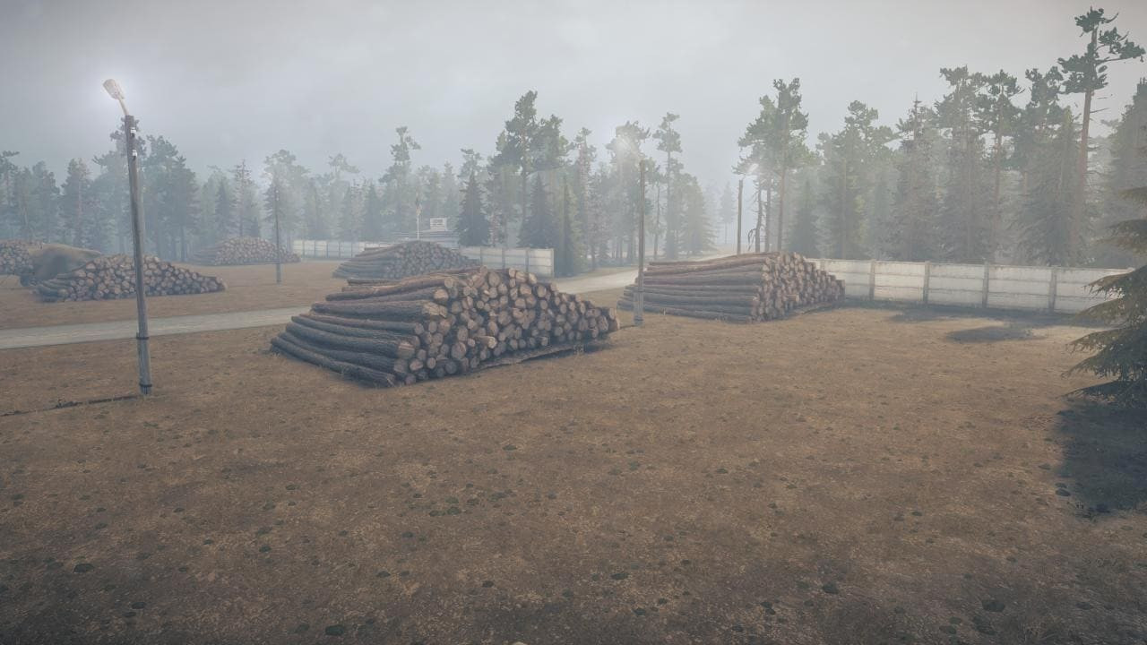 We carry the forest - USA