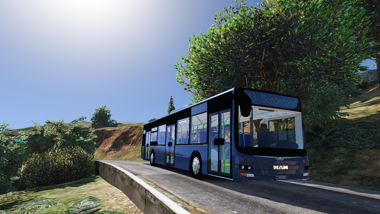 Man Lions City A37