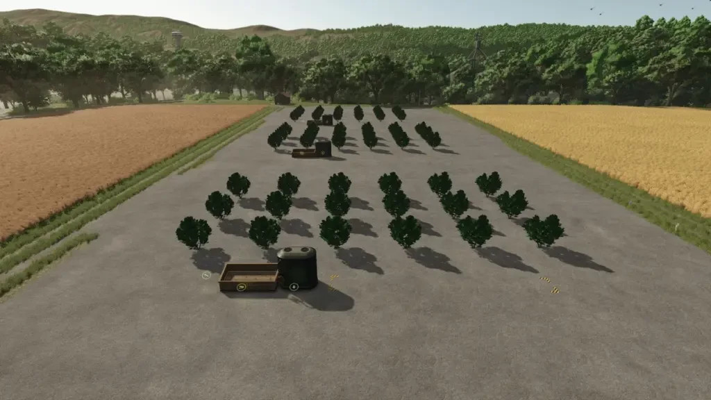 Berry Plantation
