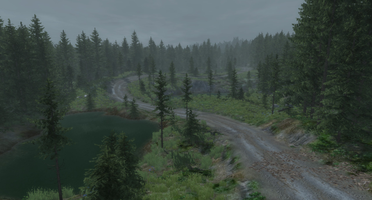 Rally Forest