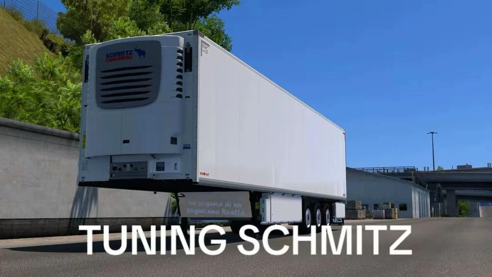 Tuning Schmitz