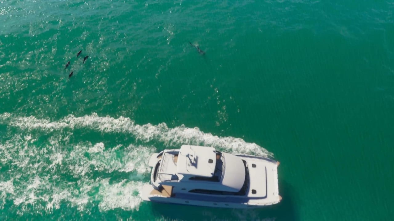 Waves Worth $300 million: What We Know About The Water Physics in GTA 6