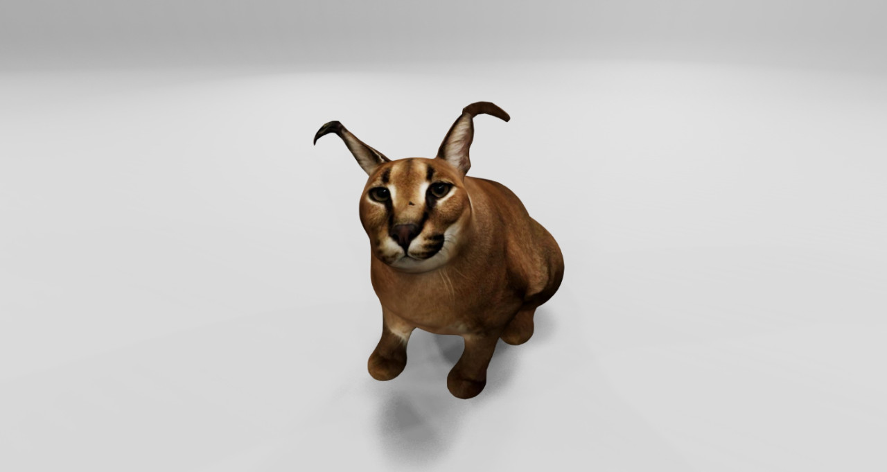 Floppa the cat