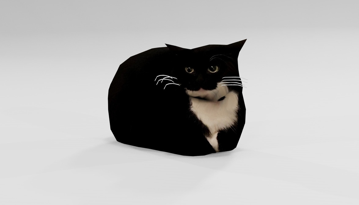 Maxwell Cat