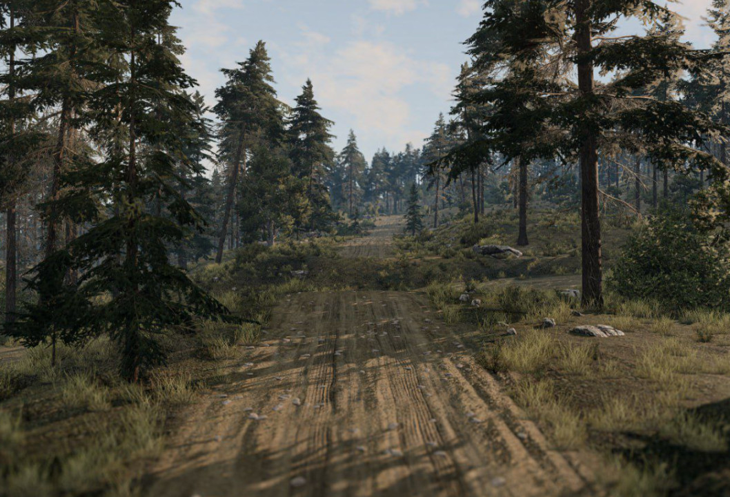 LM Rally