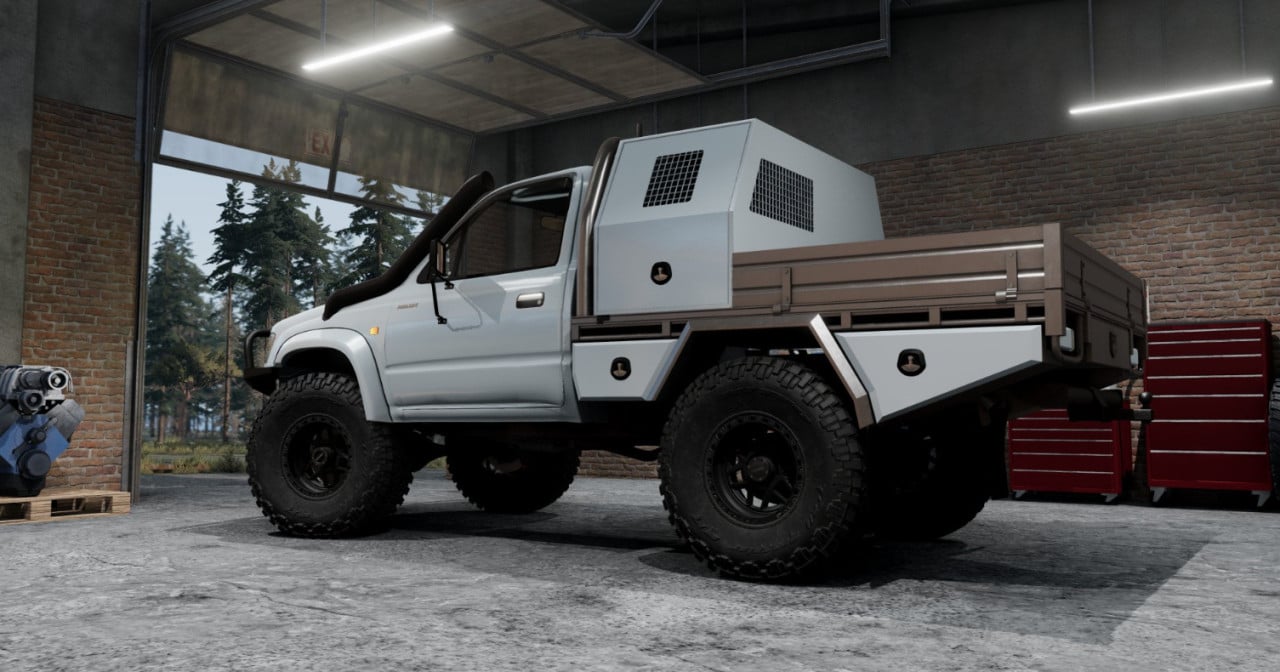 LM Rally