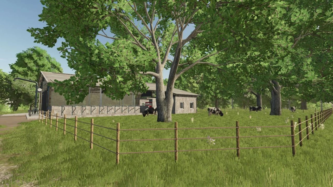 Cow stable 500