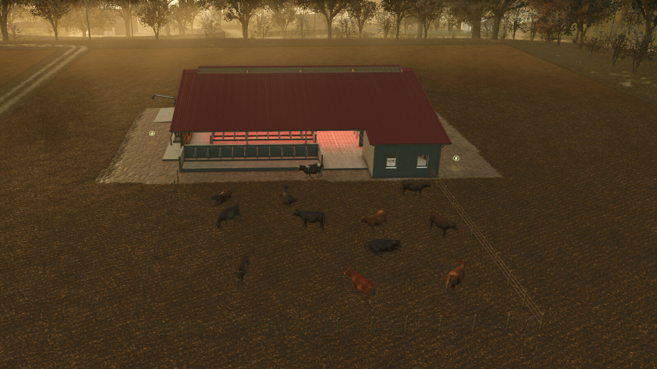 Animals Display