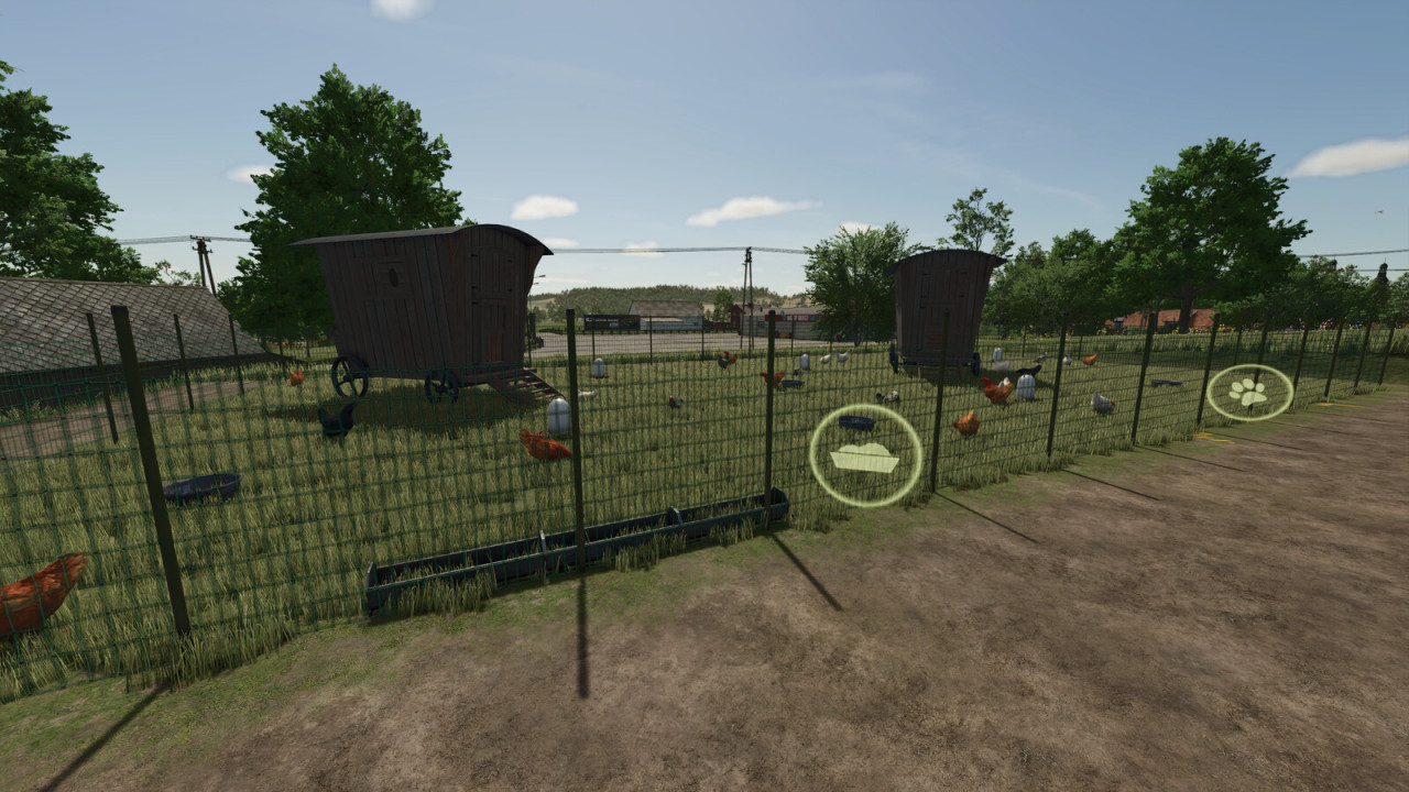Outdoor Chicken Coop