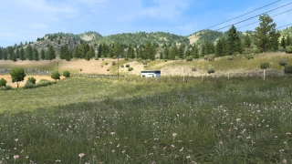 New Summer v4.0 thumbnail 9