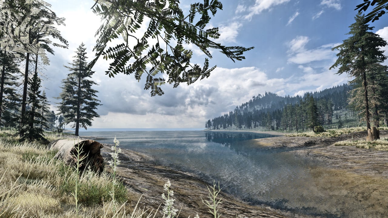 Blackwood Bluff