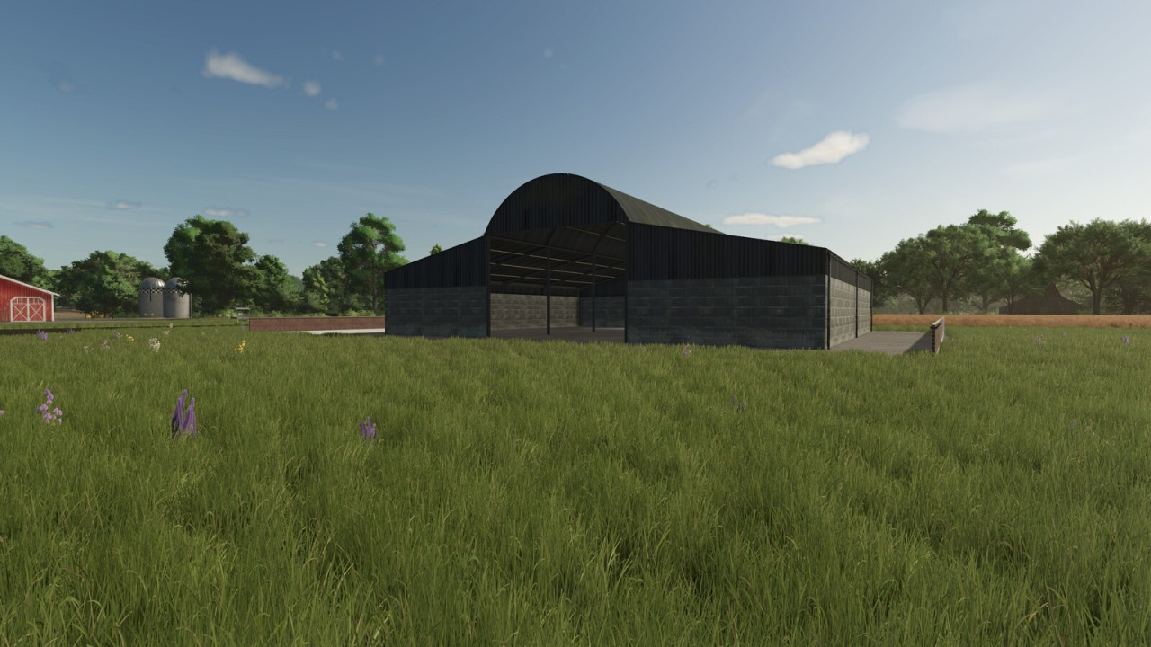 Large Shed