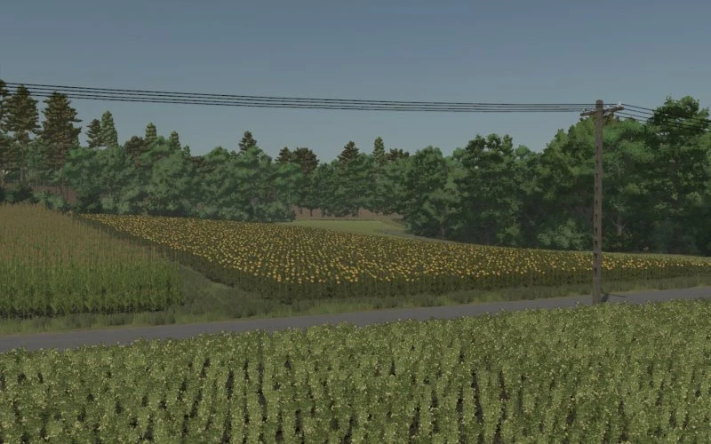 FS25 Biały Ług v 1.0