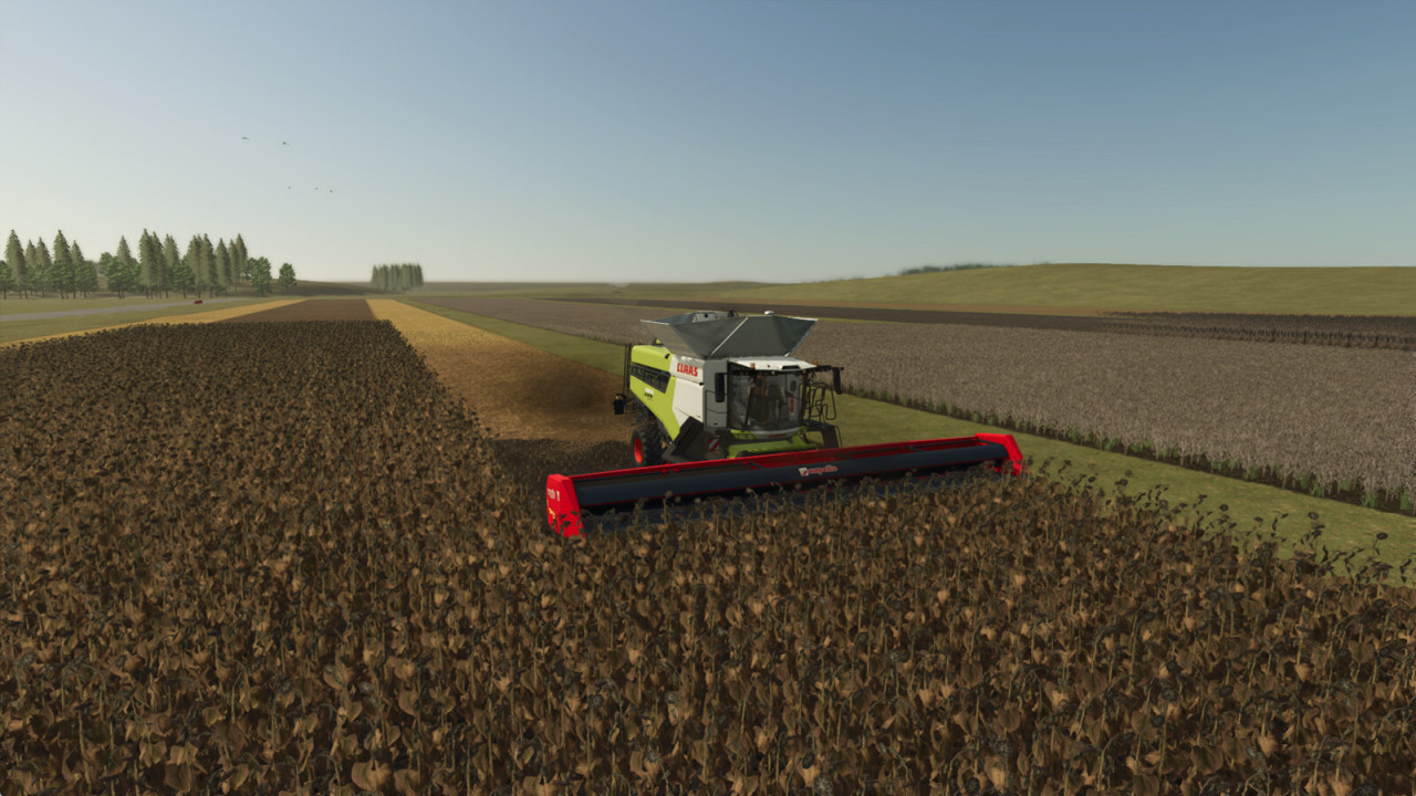 Helianthus Pack