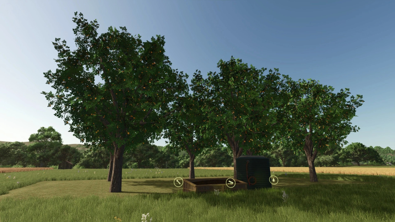 Plantations and fruit trees