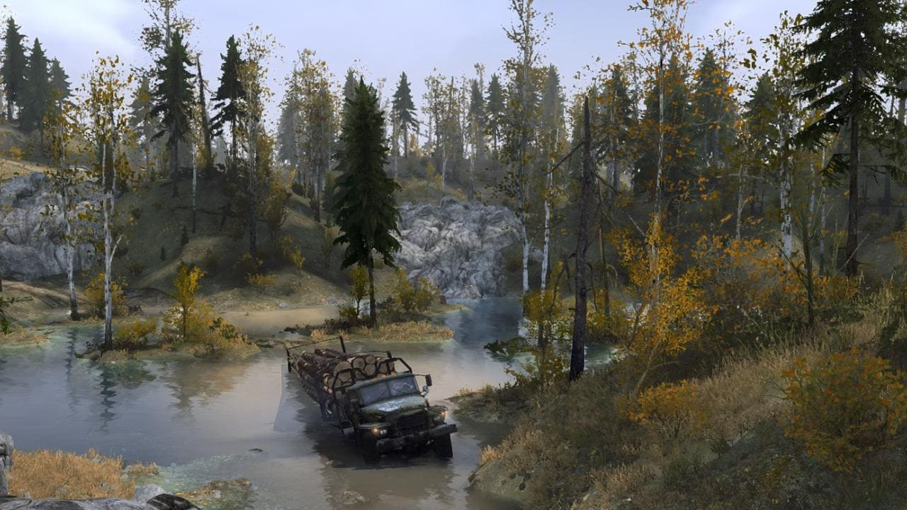 Forest Lands