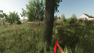 Mod Image