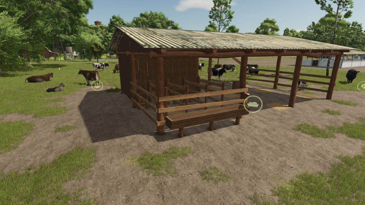 Brazilian Cow Corral