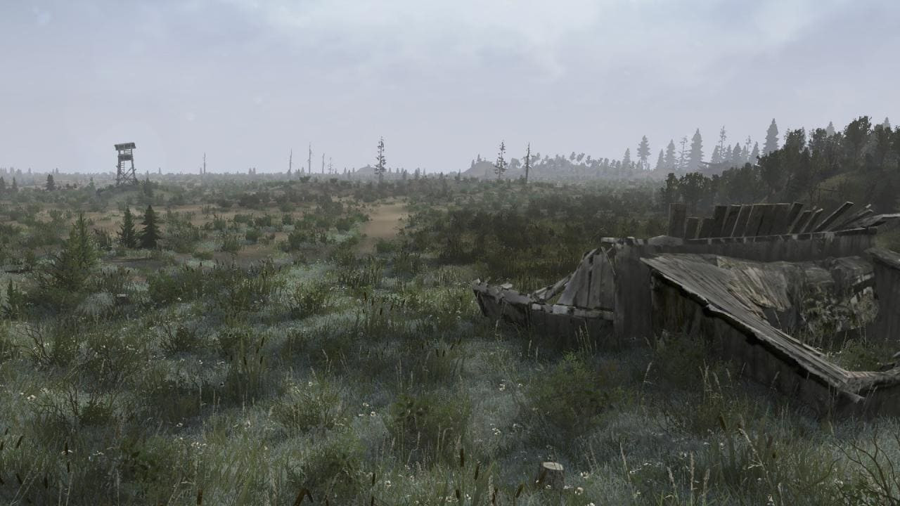 Swamp all around