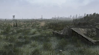 Swamp all around