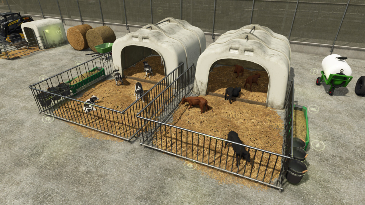 Lizard Calf Huts