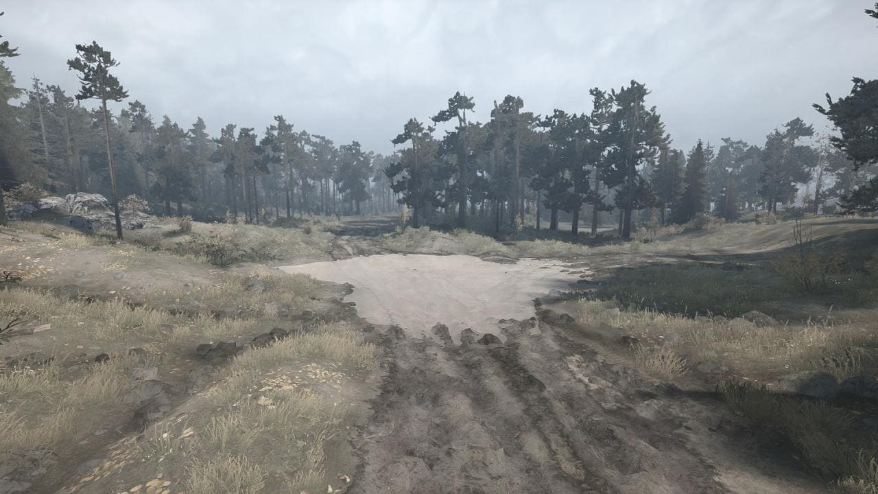 Forest Plains