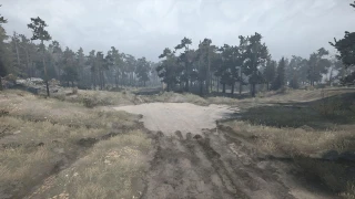 Forest Plains