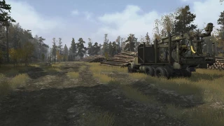Forest and quarry