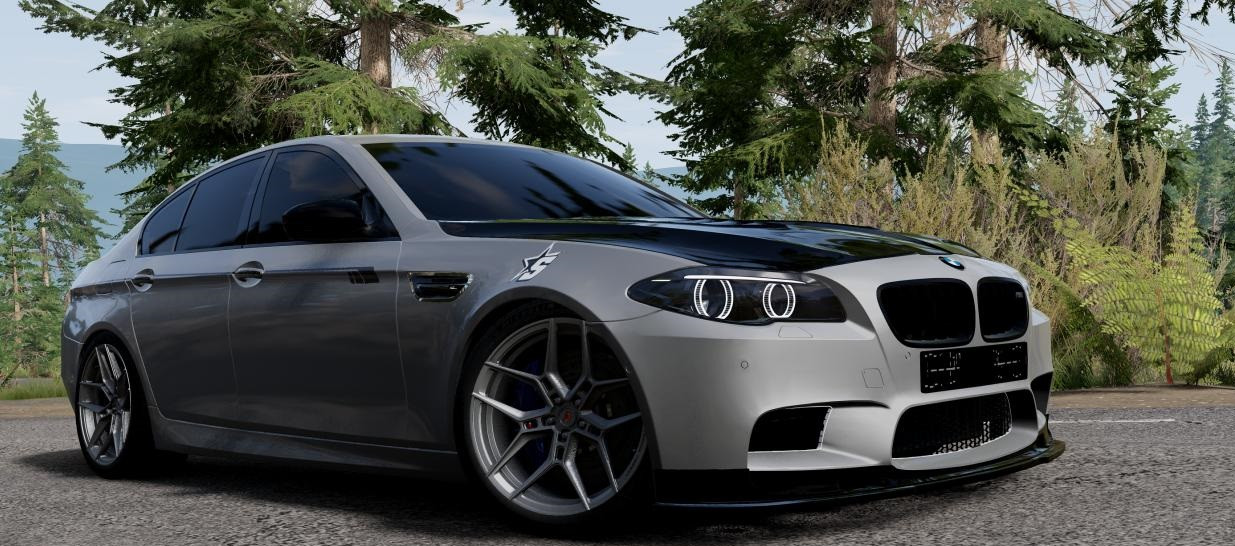 BMW 5-Series (F10) (2012-2016)