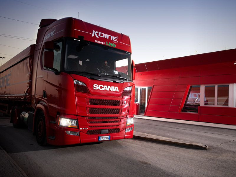Combo Skin Koine Transport Srl