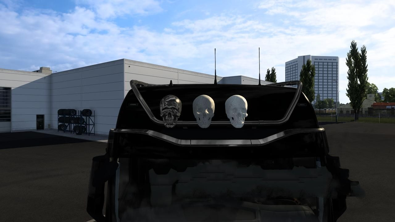 Skulls on lightbar