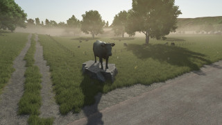 Mod Image