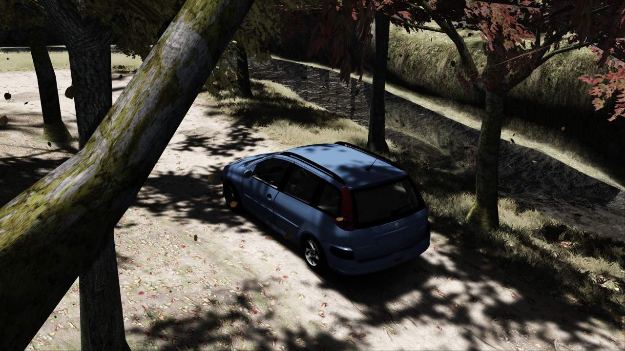 Peugeot 206 SW