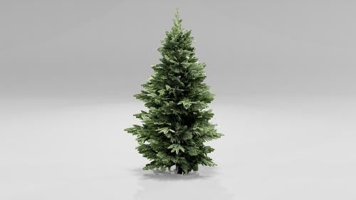 Christmas tree without Christmas decorations