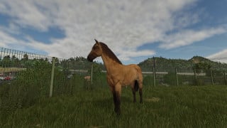 Mod Image