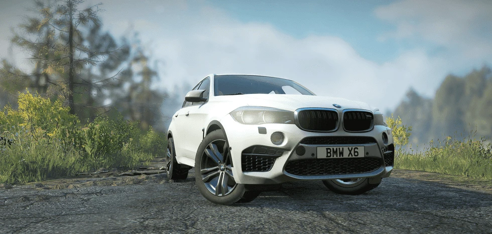 BMW X6M